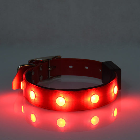 Collar Luminoso Ajustable e Impermeable para Mascotas