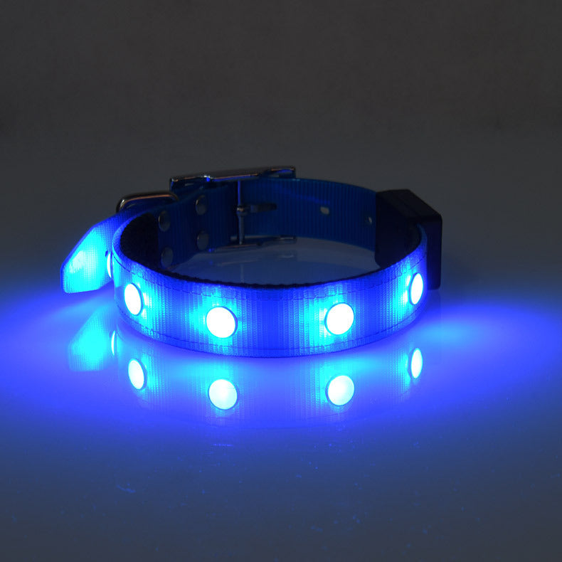 Collar Luminoso Ajustable e Impermeable para Mascotas